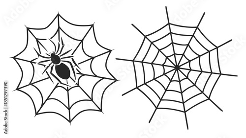 Black spider in web and empty spider web illustration Vector