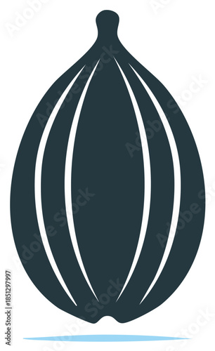 Stylized Botanical Seed Pod Illustration