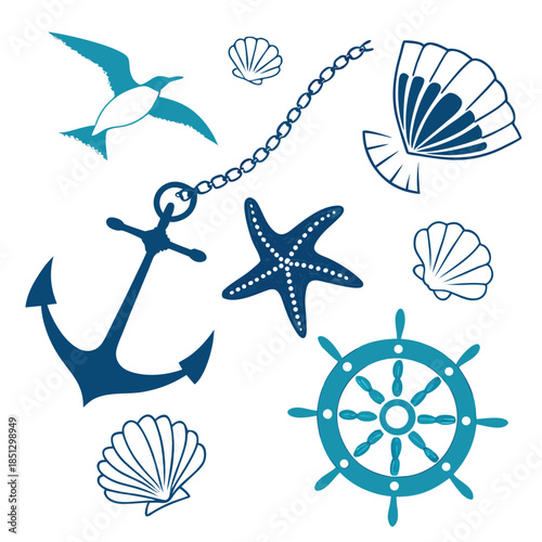 Nautical elements collection with anchor and seashells Vector