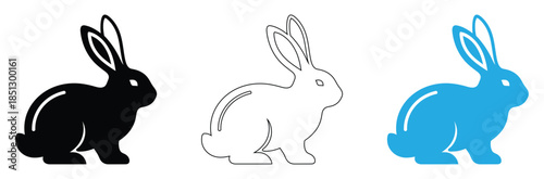 Three rabbits in different colors on white background