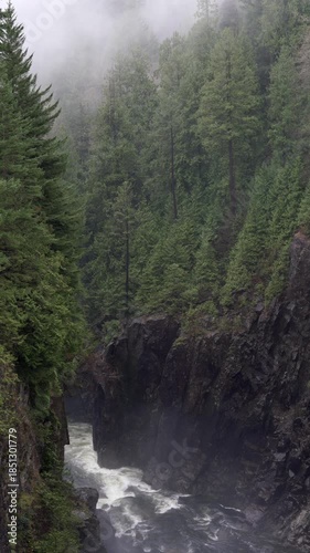 Misty Capilano River Canyon vertical video 4K UHD.The view of the Capilano River in Capilano River Regional Park, North Vancouver, British Columbia. 4K UHD.
