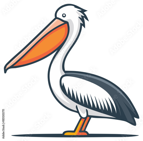 Cartoon pelican illustration of standing bird with white feathers and orange beak