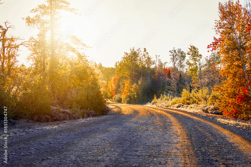 Fototapeta premium Autumn morning drive in New Brunswick, Canada.