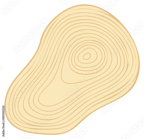 Abstract irregular wood slice with tree rings texture element natural wooden grain pattern