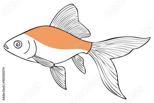 Simple Illustration of a Graceful Swimming Goldfish with Flowing Fins and Orange Markings