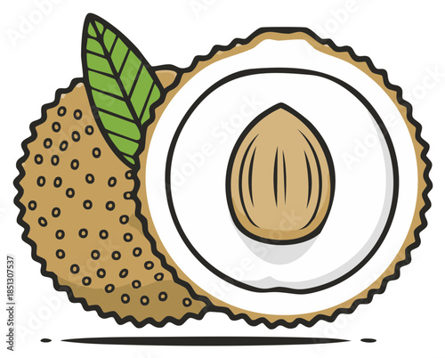 Stylized Litchi Fruit Illustration with Green Leaf and Seed