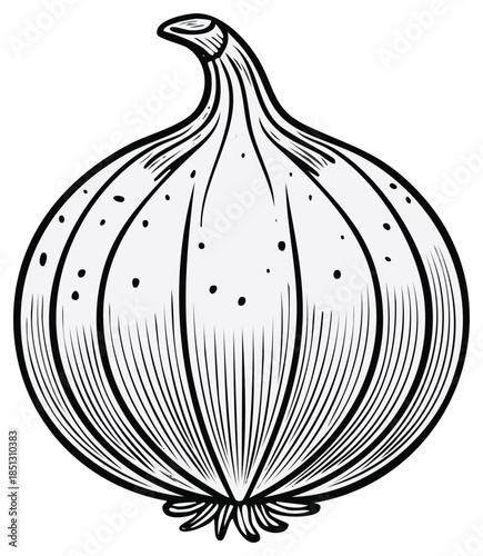 Black and white illustrated onion vegetable design with detailed lines and organic shape.