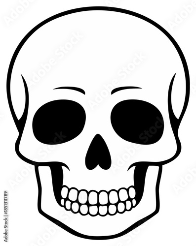 Black and white illustration of a human skull against a plain background