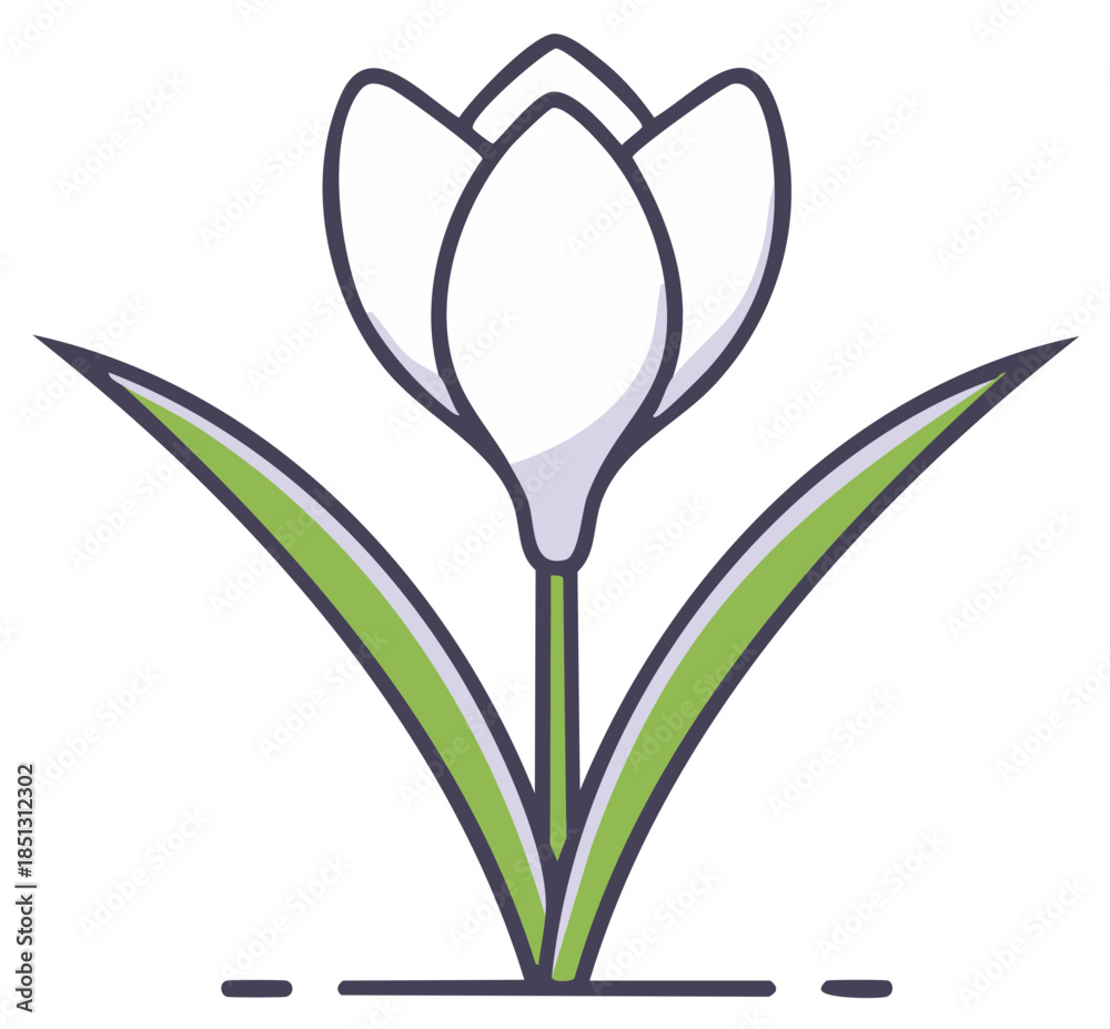 Obraz premium White crocus flower in bloom illustration, spring season concept