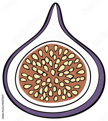 Stylized illustration of a ripe fig cut in half revealing seeds and flesh