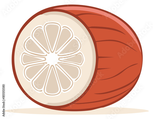 Illustration of a Cut Melon Fruit Revealing the Interior and Seeds for Print and Digital Designs