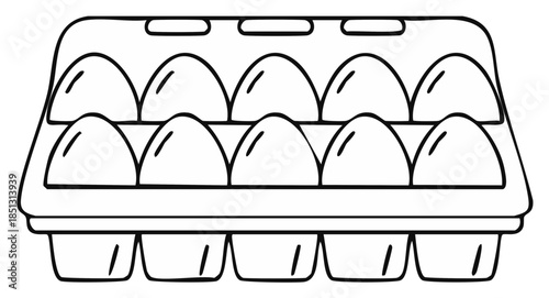 Line Art Carton of Fresh Eggs Outline Graphic Illustration