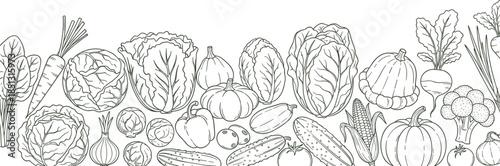 Seamless line art border design showcasing a diverse collection of garden-fresh vegetables, ideal for health-conscious food themes, organic promotions, and culinary designs
