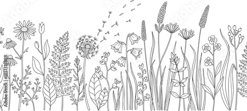 Hand-drawn illustration of a diverse collection of wildflowers and grasses in a linear border design