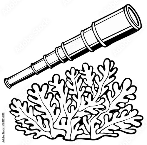 Hand drawn telescope and seaweed illustration evokes adventure and sea themes. Spyglass and ocean plant black and white art
