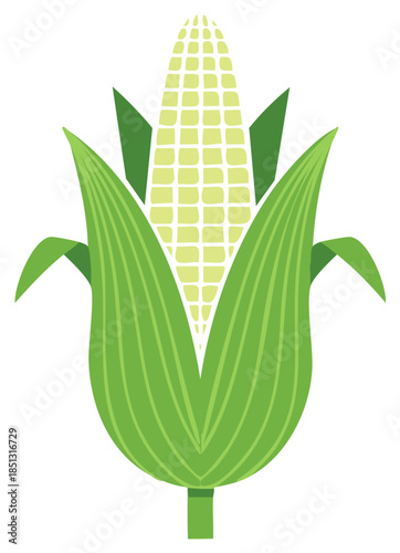 Stylized flat vector illustration of a fresh ear of corn or maize with green husks