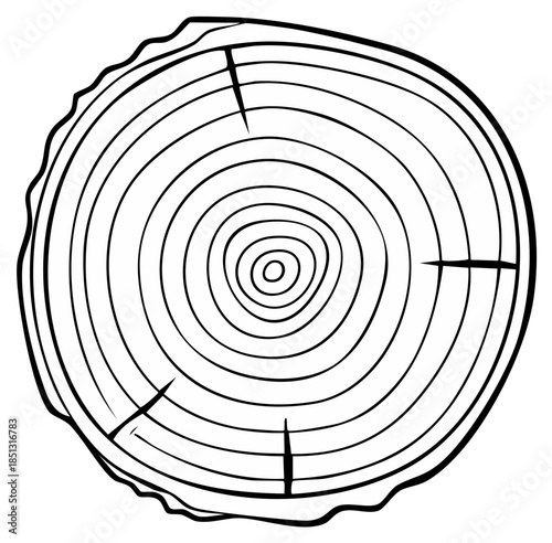 Wood cross section with rings and cracks, vector illustration. Outline design