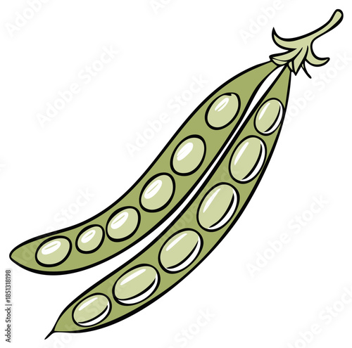Illustration of Green Peas in Pods. Fresh Vegetables, Wholesome Food. Agricultural, Vegetarian and Vegan Diet