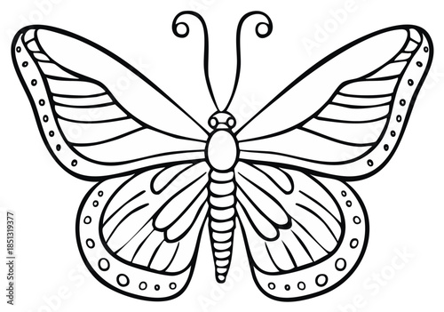 Butterfly outline illustration with intricate wing patterns and detailed antennae suitable for coloring pages or design elements