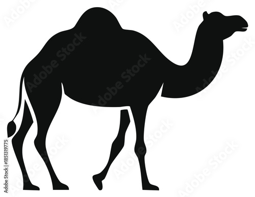 Majestic desert camel single hump silhouette graphic isolated animal vector art