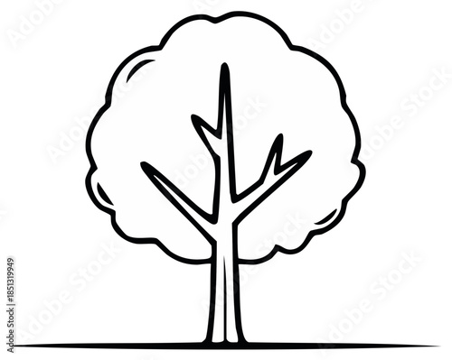 Simple outline drawing of a deciduous tree with a rounded crown and visible branches