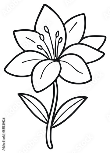 Outline of a Lily Flower in Black and White for Coloring