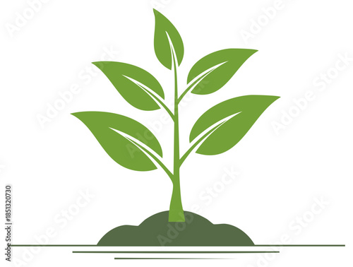 Green plant growing from soil with abstract lines symbolizing growth and nature