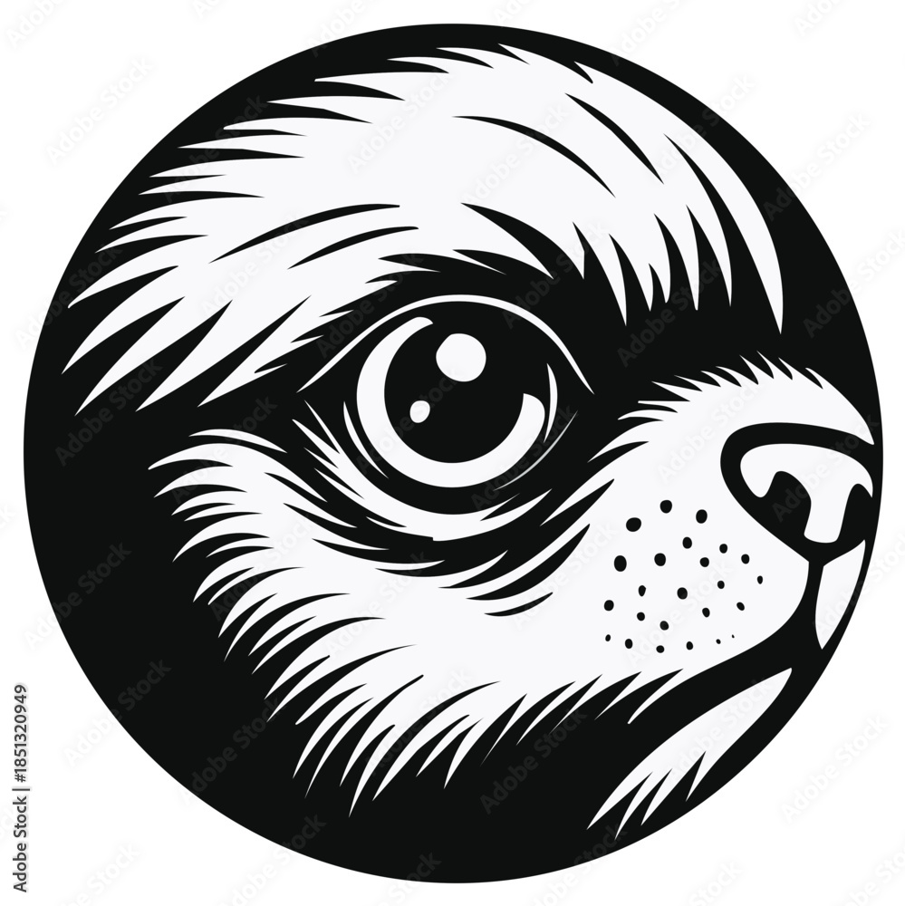 Obraz premium Close-up of a Sloth's Face in a Circle, Vector Illustration, Cute Black and White Animal Portrait