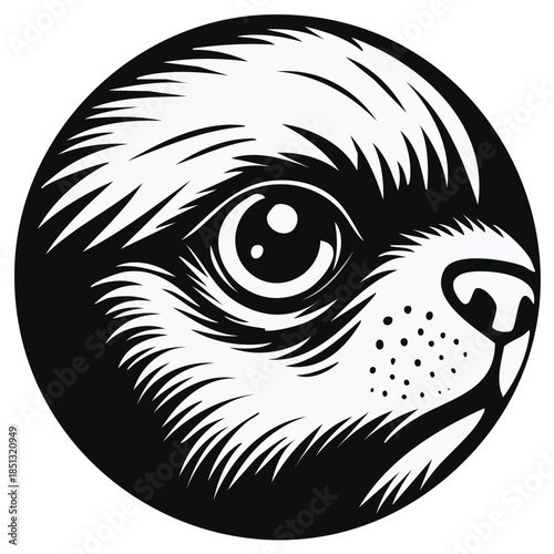 Close-up of a Sloth's Face in a Circle, Vector Illustration,  Cute Black and White Animal Portrait