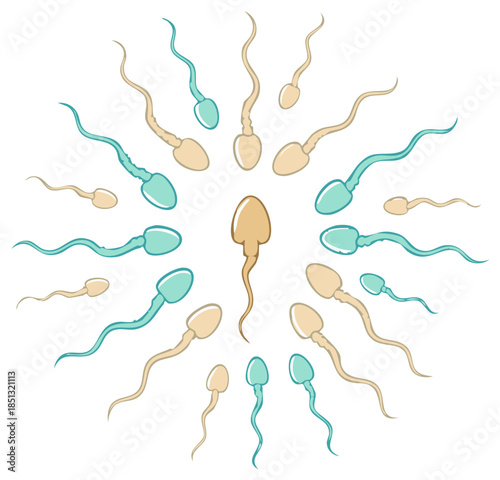 Illustration of Sperm Cells in Circle Formation for Medical Concept