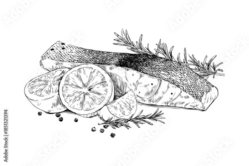 Hand-drawn sketch of grilled salmon fillet with lemon slices, rosemary, and pepper on white background, representing gourmet seafood cuisine