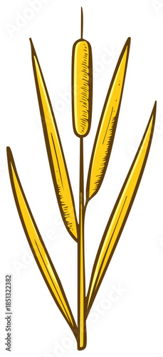 Stylized golden cattail reed illustration, hand drawn botanical icon