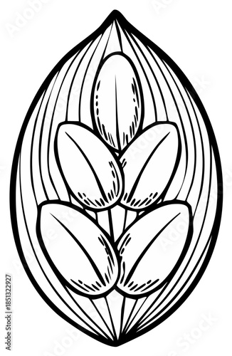 Abstract illustration of a seed pod design with stylized leaves