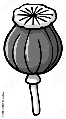 Single stylized poppy seed pod with a distinct crown and stem