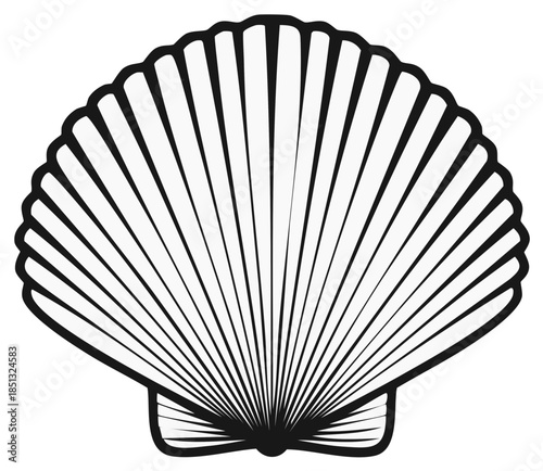 Line art of a seashell, scallops marine life, seafood, nature element.