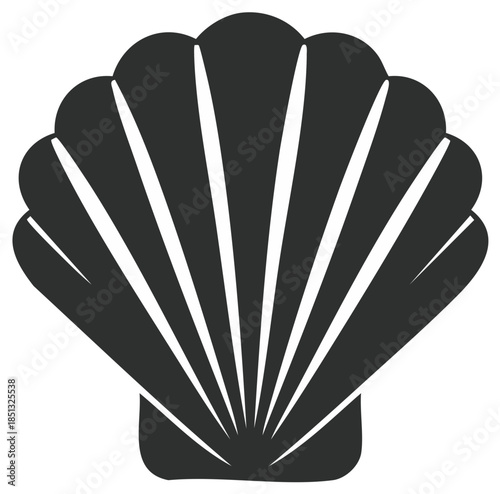 Stylish Black and White Seashell Illustration Graphic with Radial Lines