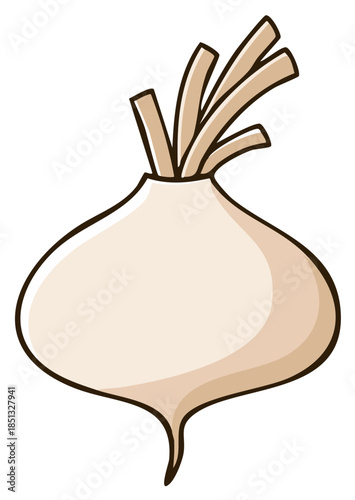 Illustration of Jicama vegetable on white background for design element