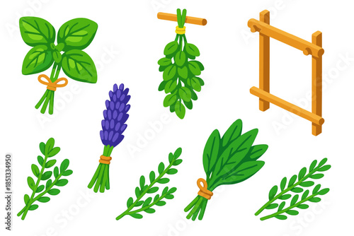 Herb Drying Rack. Isometric vector illustration set Herb Drying Rack: tied basil stems, hanging oregano, dried lavender, wooden
