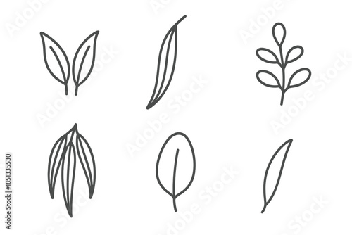 Eucalyptus Line Icons. Line style icons of Eucalyptus: eucalyptus leaf pair, long leaf curve, small stem, hanging leaf cluster,