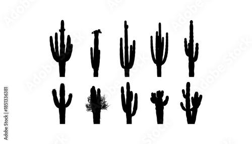 Cactus silhouette set of vector illustrations design, Various isolated  cactus logo shapes in black on white background, line art cactus desert flower character symbol, icon and sketch imitation