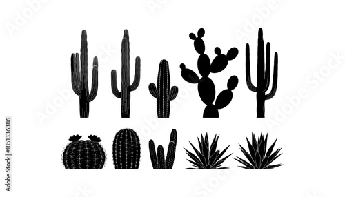 Cactus silhouette set of vector illustrations design, Various isolated  cactus logo shapes in black on white background, line art cactus desert flower character symbol, icon and sketch imitation