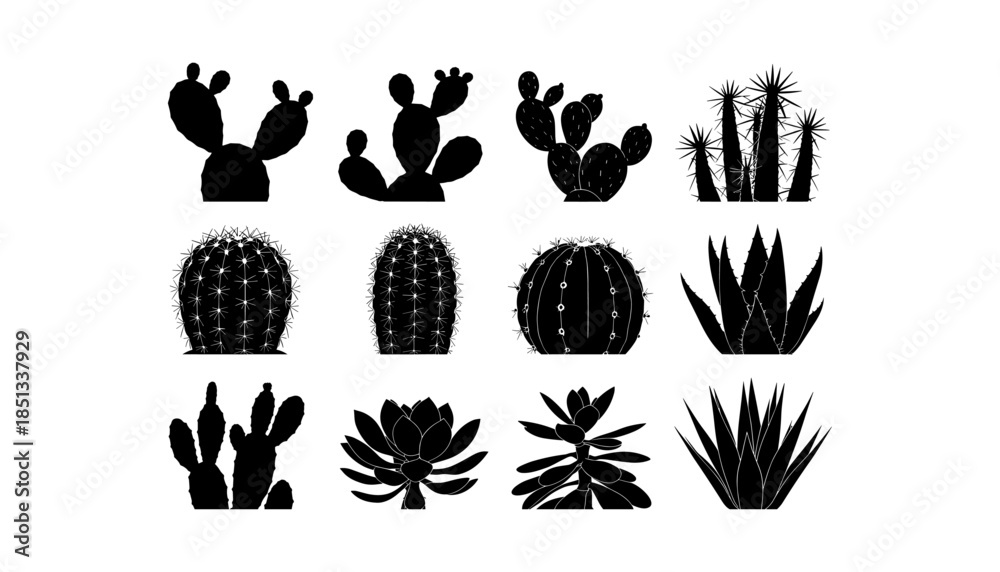 Obraz premium Cactus silhouette set of vector illustrations design, Various isolated cactus logo shapes in black on white background, line art cactus desert flower character symbol, icon and sketch imitation