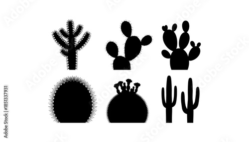 Cactus silhouette set of vector illustrations design, Various isolated  cactus logo shapes in black on white background, line art cactus desert flower character symbol, icon and sketch imitation
