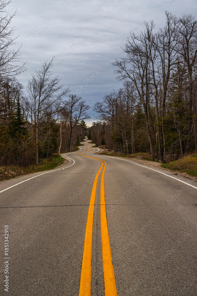 Fototapeta premium winding road in the countryside