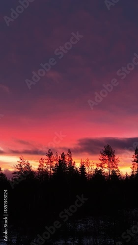 Dramatic and colorful sunrise sky with hues of red, orange, and purple glowing over a silhouetted boreal forest landscape during the shortest winter day, a beautiful Nordic natural wonder, Forward fly
