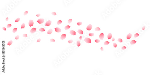 Sakura cherry petals, pink apricot flowers falling swirl. Vector background