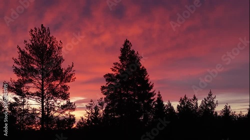 Crimson clouds moving across a dramatic sky above a silhouetted boreal forest during a spectacular sunrise on the shortest day of the winter, capturing the essence of nordic wilderness