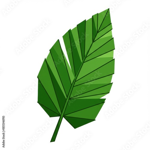 Single Green Leaf with Distinct Veins and Stalk Isolated on White Background