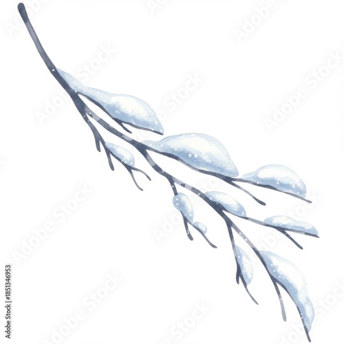 Snow Covered Branch with White Frosty Leaves on White Background
