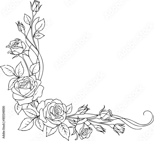delicate floral corner element featuring roses line art silhouette vector illustration
